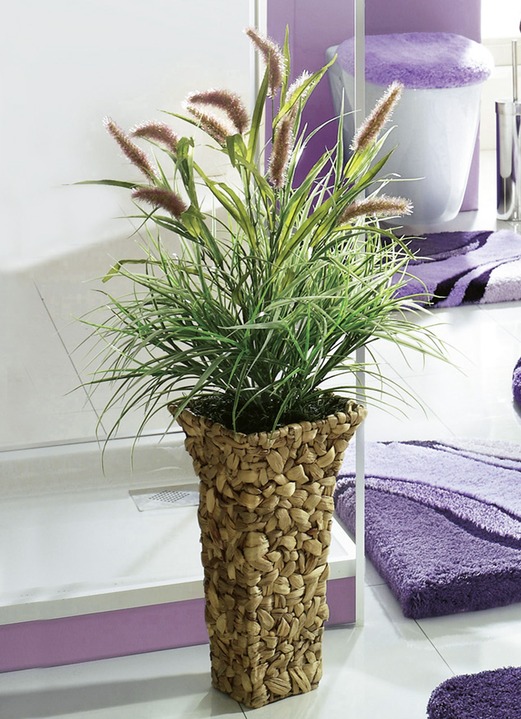 Wohnaccessoires - Schilfgras in Vase, in Farbe