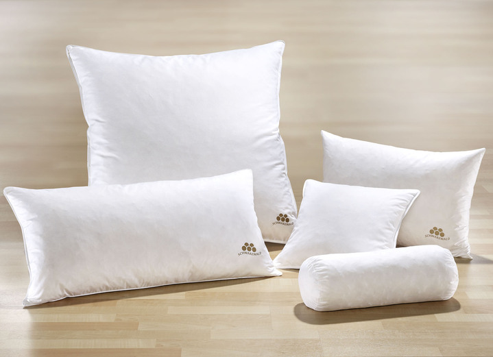 Bettwaren - Kissenserie mit goldfarbener Satin-Biese, in Größe 120 (80/80 cm) bis 124 (Nackenrolle, 15/40 cm), in Farbe WEISS, in Ausführung Qualität I: 100% Federn Ansicht 1