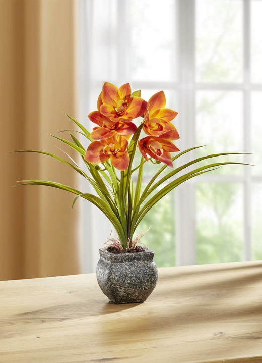 Wohnaccessoires - Cymbidium-Orchidee im Zementtopf, in Farbe ORANGE Ansicht 1