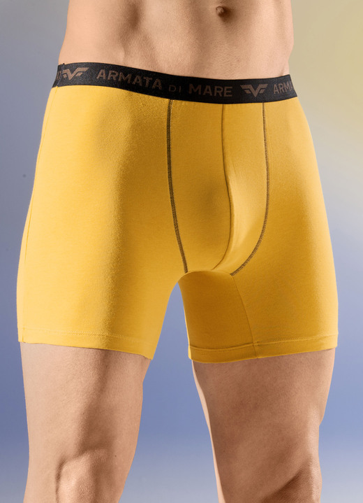 Unterhosen - Viererpack Pants mit Elastikbund, in Größe 004 bis 011, in Farbe 2X OCKER, 2X BRAUN Ansicht 1