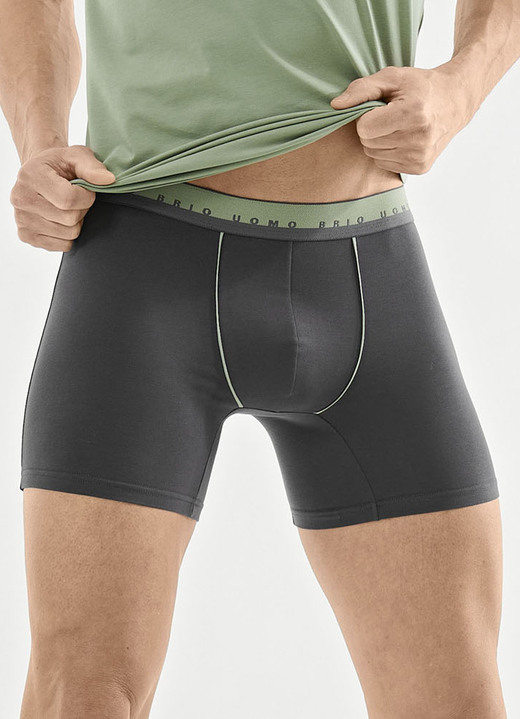 Unterhosen - Dreierpack Pants mit Elastikbund, in Größe 005 bis 011, in Farbe 3X GRAFIT-SALBEI Ansicht 1