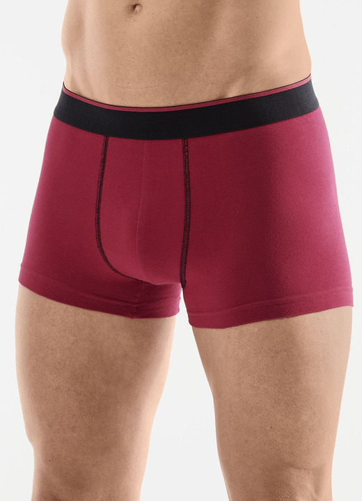 Unterhosen - Viererpack Pants mit Elastikbund Unterhosen - Viererpack Pants mit Elastikbund, in Größe L bis XXL, in Farbe 1X WEINROT, 1X SMARAGD, 1X SCHWARZ, 1X SCHIEFER