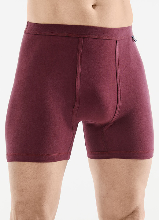 Unterhosen - Pfeilring Zweierpack Unterhosen aus Feinripp, in Größe 005 bis 014, in Farbe 1X RUBINROT, 1X DUNKELGRAU Ansicht 1