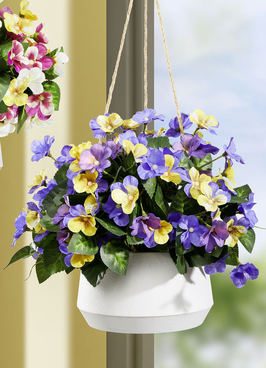 Wohnaccessoires - Stiefmütterchen in Hängeampel, in Farbe GELB-VIOLETT Ansicht 1