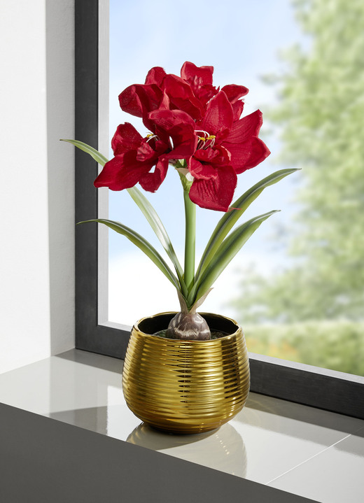Wohnaccessoires - Amaryllis-Gesteck in goldenem Topf, in Farbe ROT-GRÜN-GOLD