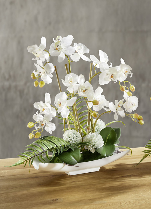 Wohnaccessoires - Orchideen-Arrangement in Schale, in Farbe WEISS Ansicht 1