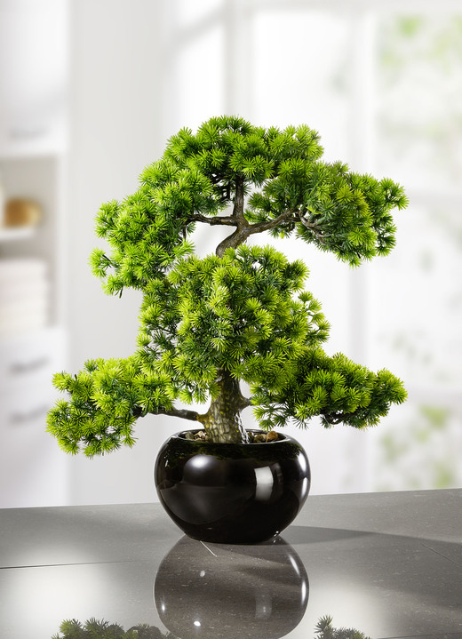 Wohnaccessoires - Lärchen-Bonsai in schwarzem Keramiktopf, in Farbe GRÜN