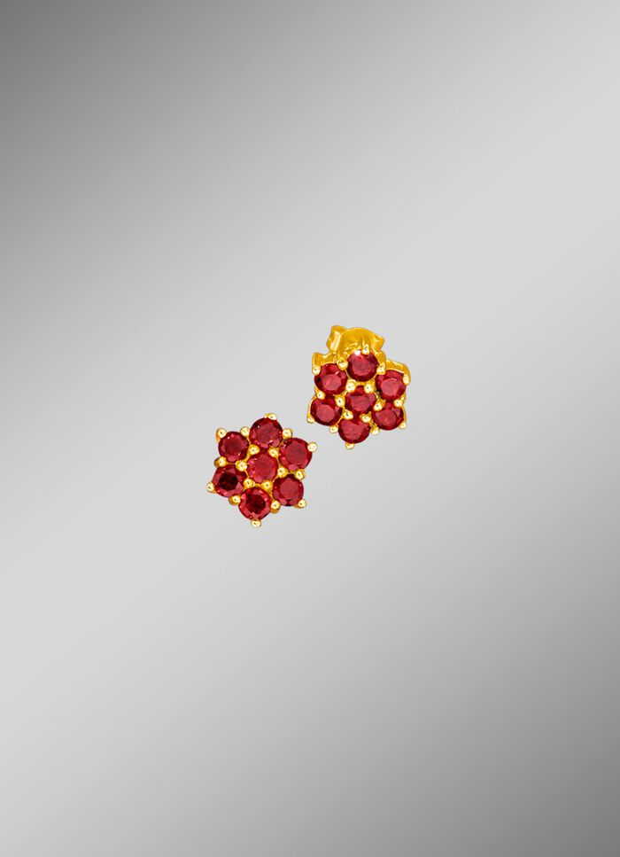 Ohrstecker mit echt Granat 