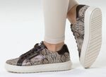 Peter Kaiser, modische Damen-Sneaker, mit herausnehmbarem Fussbett TAUPE-MOKKA