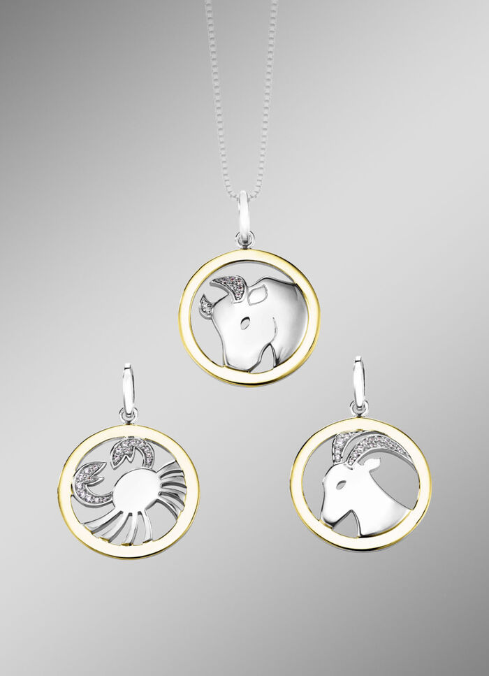 Sternzeichen-Anhänger  