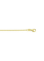 Ankerkette aus Gold 