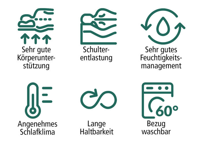 Mehrzonen-Komfortschaumkern-Matratze «max foam by fan» 