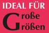 MONAde_CH1IdealFuerGrosseGroessen