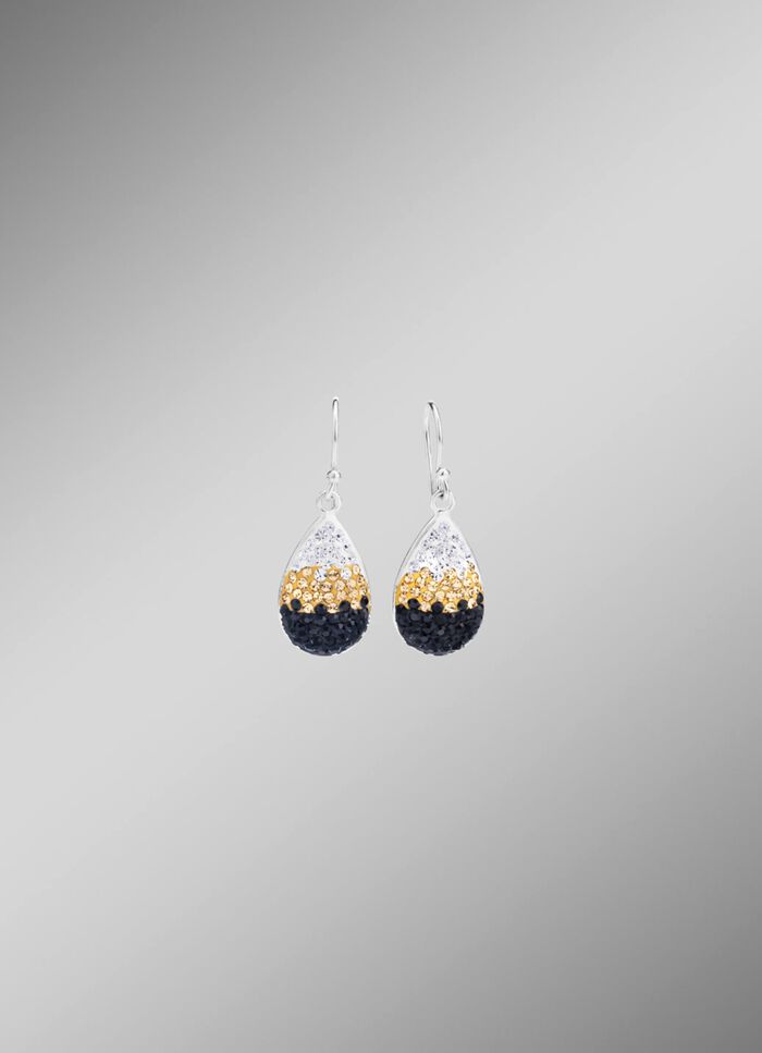 Funkelnde Ohrhaken mit Swarovski-Elements 