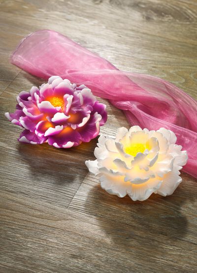 LED-Kerze Chrysantheme  