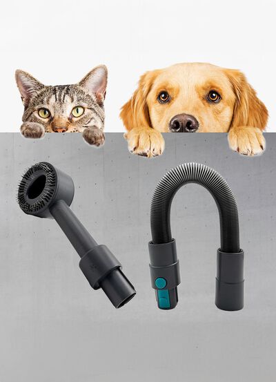 Livington &laquo;Sense IQ&raquo; Tierhaarb&uuml;rsten-Set 