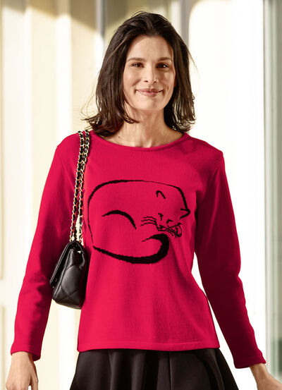 Pullover in Garnmix 