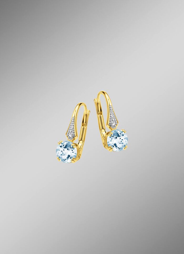 Hinrei&szlig;ende Ohrringe 