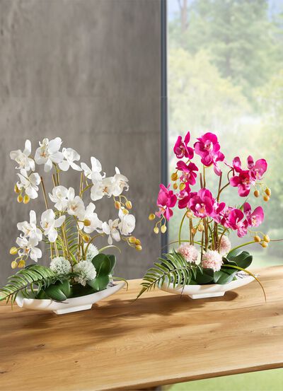 Orchideen-Arrangement in Schale 