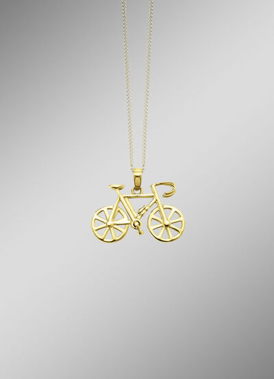Fahrrad-Anhänger aus Gold  