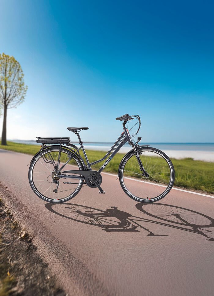 Trekking-E-Bike XT485 von Telefunken 