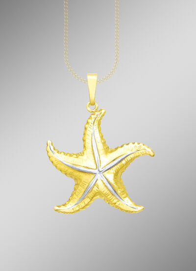 Interessanter Anhänger Seestern in Bicolor 