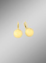 G&auml;nzende Ohrringe 