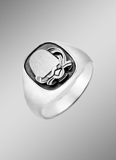 Edler Herrenring aus Silber 