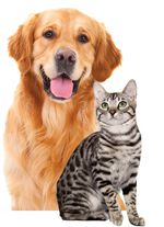 Batteriebetriebene Fussel- und Tierhaarrolle mit LED-Licht 