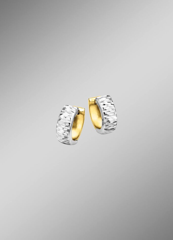 Bicolor-Klappcreolen 