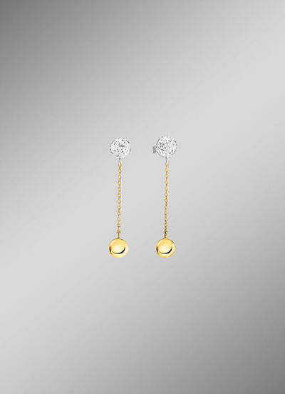 Wundersch&ouml;ne Ohrstecker in Bicolor 