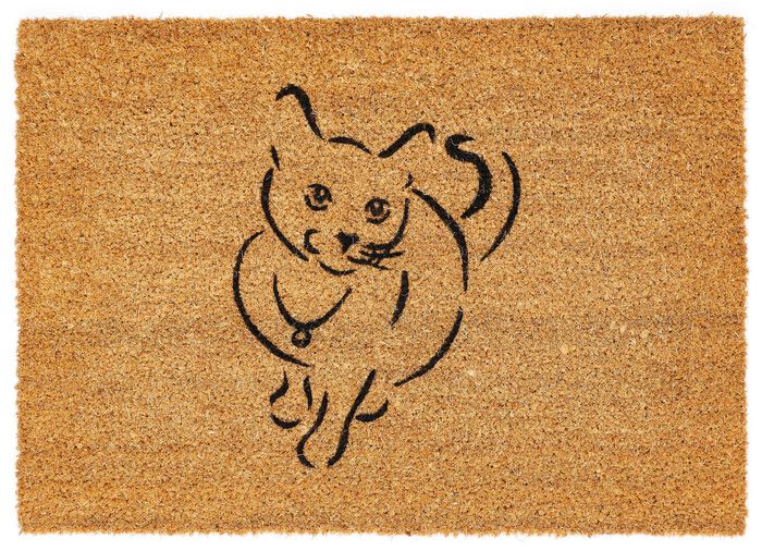 Hochwertige Kokosfussmatte 