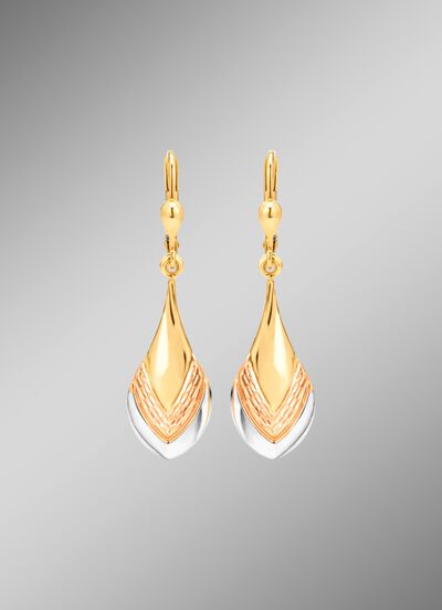 Bezaubernde Ohrringe in Tricolor 