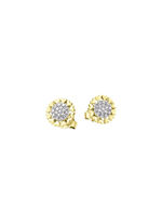 Ohrstecker Gold 585/- 