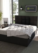 Hochwertiges Wildentendaunen-Bettwarenprogramm von Spessarttraum – Beste Qualität für erholsamen Schlaf SILBER