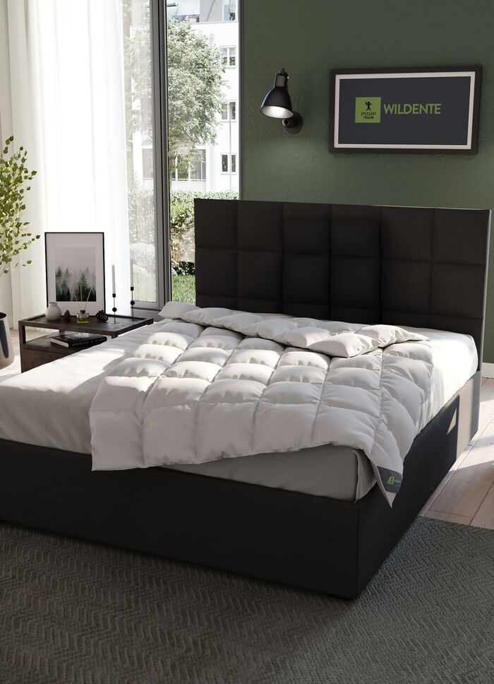 Hochwertiges Wildentendaunen-Bettwarenprogramm von Spessarttraum – Beste Qualität für erholsamen Schlaf SILBER