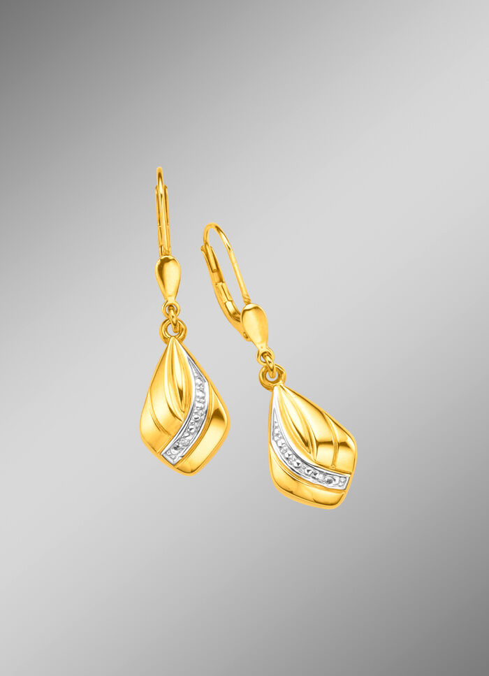 Glänzende Ohrringe mit Diamant 