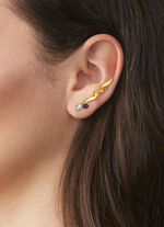 Wundersch&ouml;ne Ohrhaken 