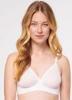 Triumph-Micro Fun-BH 