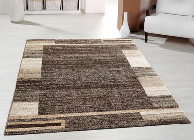 Strapazierf&auml;hige, pflegeleichte Br&uuml;cken und Teppiche 