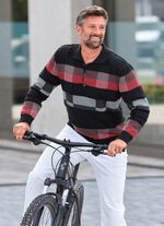 Gemusterter Polopullover in 2 Farben 