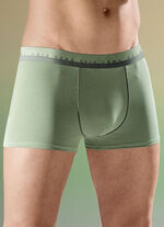 Viererpack Pants mit Elastikbund 