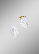 Exklusive Diamant-Ohrringe 