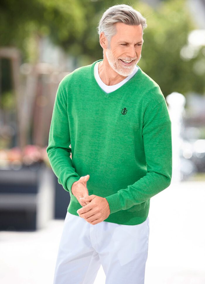 Modischer V-Pullover in 6 Farben 