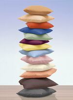 2er-Pack Kissenbez&uuml;ge aus 100% Baumwolle 