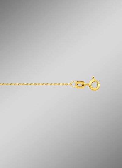 Ankerkette aus Gold 