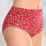 Viererpack Slips mit Blumenmotiv 