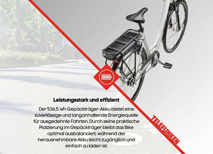 City-E-Bike RC667 von TELEFUNKEN 