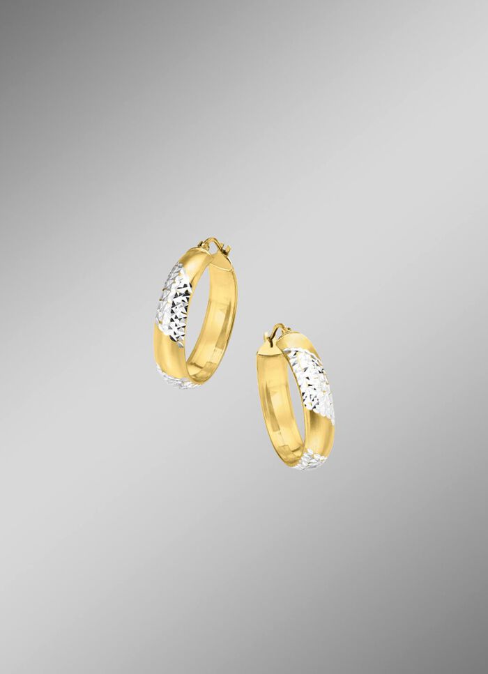 Gl&auml;nzende Creolen in Bicolor 