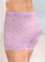 Viererpack Unterhosen mit feinerm Ajour-Dessin 